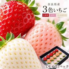 長野県産〉白いちご 約600g ☆クール便送料込☆ - メルカリ