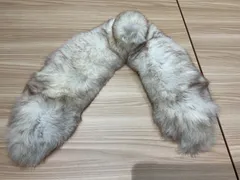 SZ268235914 SAGA FOX ショール