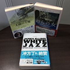 白痴 1・2巻セット 光文社古典新訳文庫 ドストエフスキー 著 亀山 郁夫