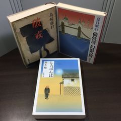 ドストエフスキー 13冊セット 光文社古典新訳文庫 亀山郁夫訳 ※白痴2冊欠 白痴 1・2巻セット 光文社古典新訳文庫 ドストエフスキー 著 亀山 郁夫
