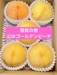 数量限定　食べ比べセット　高糖度黄金桃　伊豆錦　小島梨　恋空　りんご　4kg以上 数量限定！高糖度黄金桃・小島梨・伊豆錦・恋空りんご 食べ比べセット