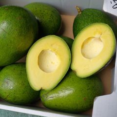 沖縄産 青パパイヤ 5kg (4～12玉) 野菜 - メルカリ