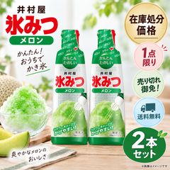 在庫処分 井村屋 氷みつ メロン 330ｇ 2本 子供会 景品 夏祭り かき氷 みつ ハニー 氷みつ 縁日 お祭り イベント 業務用 かき氷 シロップ