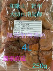 和歌山 紀州 大切れ南高梅 梅干し 無添加 250g