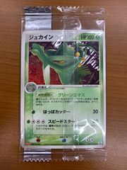 【未開封】ゴマゾウ 明治 プロモ ポケモンカード 071/pcg-p 未開封 ゴマゾウ 071/PCG-P プロモ PROMO 明治 meiji ポケカ ポケモン