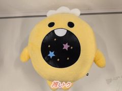 TRUZ PODONG ポドン ジャンボぬいぐるみ ジョンファン ポドン truz treasure ジョンファン minini podong - メルカリ