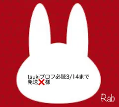 tsukiプロフ必読3/14まで発送❌様