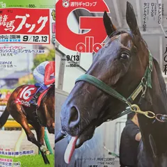 匿名！送料無料！競馬、ギャロップ、ブック 2026年9月13日 2つセット