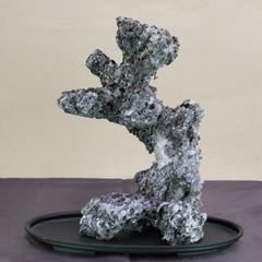 超希少 超特大 揖斐石 龍眼石 竜眼 龍岩 竜岩 付け石 景石 水石 盆栽鉢