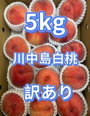 マツモト商店『年中無休』 - メルカリShops