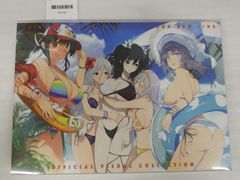 シノビマスター 閃乱カグラ NEW LINK 公式ビジュアルブック - メルカリ