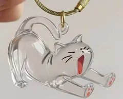 2個セット 猫の毛収納ボトル キーホルダー 猫毛玉入れ 猫毛 透明カプセル キーホルダー ペット 遺毛入れ 猫毛収納ボックス 遺毛 ケース 透明 ネコ 猫の毛収納ボトル ペット 毛を保管するボトル か#tyty4896