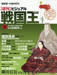 ビジュアル戦国王27号