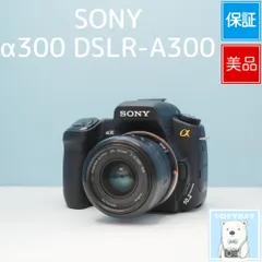 SONY α300 DSLR-A300 一眼レフ スマホ転送OK フルセット 美品 シロクマカメラ a7260