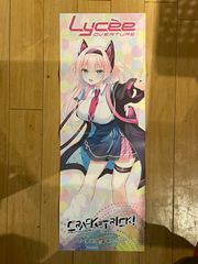 コナン プロモーションパック vol.14 優勝パックキラバージョン2 参加