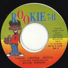 ジャマイカ7” Wayne Wonder Taking Control (Remix) NONE Rookie 7-11 /00080