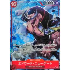 PSA9鑑定済〕ミスティックソードマンLV4【レリーフ】{SOD-JP012