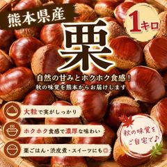 🌰 熊本県産 大粒栗 たっぷり2kg 🌰約90個