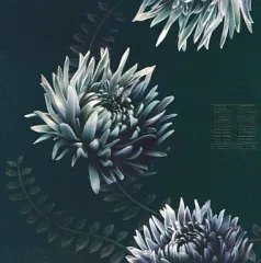 REVERSUS+/ELECTROCUTICA【同人音楽CD】【希少】【新品】 2026年最新】reversusの人気アイテム - メルカリ