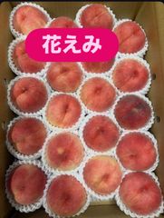 1️⃣1️⃣ 山梨県産 おどろき 秀品 特大12玉入り 6.8キロ - メルカリ