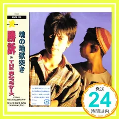 勝訴 [CD] 真心ブラザーズ_02