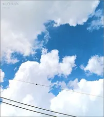 (CD)Best Sky／サニーデイ・サービス