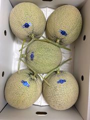 最安値!!!! 北海道赤肉メロン 新篠津ルピアレッド 優品4玉8キロ 最安値!!!! 北海道赤肉メロン 新篠津ルピアレッド 優品4玉8キロ 正規取扱
