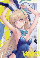 中古】収納・携帯用アイテム リオセスリ(等身) チケットファイル 「原