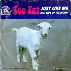 【レコード】トー・ファット bad side of the moon R5019