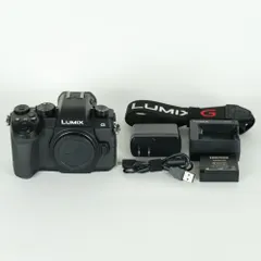 2026年最新】dc-g99dの人気アイテム - メルカリ