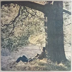 JOHN LENNON/PLASTIC ONO BAND/APPLE AP80174 レコード/record/LP