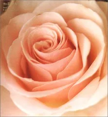 (CD)BEST FLOWER -B SIDE COLLECTION-／サニーデイ・サービス