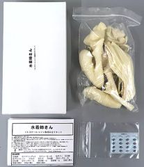 中古】PC-9801 3.5インチソフト ラストガーディアン ～獣郷の守護者