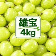 S-32 寒河江産 佐藤錦( L以上) 正味1キロ - メルカリ