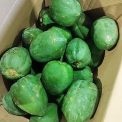 青パパイヤ (野菜パパイヤ) 10KG 沖縄産 - メルカリ