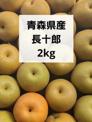 南高梅 完熟 2L5キロ よつば様専用 - メルカリ