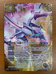 状態A がんばる子猫様 真白 SP サイン O505/R05-002SP ヴァイス
