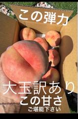 減農薬栽培ゆーこプロフ必読 - メルカリShops