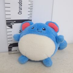 ポケモンセンター ぬいぐるみ ポケモンキャンバス ミズゴロウ 紙タグ