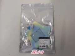 Stray Kids dominATE : celebrATE PHOTOCARD HOLDER フォトカードホルダー スキズ