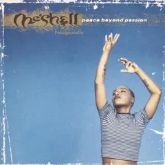 CD Meshell Ndegeocello Peace Beyond Passion 9362460332 Maverick