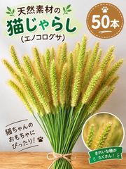 【天然・国産】エノコログサ 50本/ドライフラワー/リース・スワッグ・ハンドメイド素材