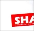 CD SHACHI, HIDETA  TAKE A BITED CAT MAY GROW AS FIERCE AS A LION FECD0024 Un-Do Label 未開封