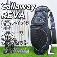 希少クラブ】無刻印 マッスルバックアイアン 10本セット DG S200