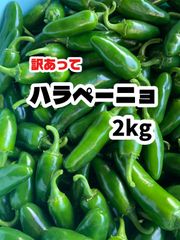 長野県産 おっきなハラペーニョ 2kg以上 - メルカリ