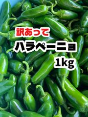 訳あってハラペーニョ　1-1.2kg