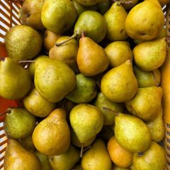 硬い桃 10kg クール便＊送料無料 - メルカリ