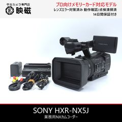 Panasonic パナソニック NV-DS200 miniDVビデオカメラ 整備済み miniDV