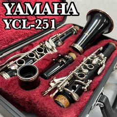 美品 パール フルート NC-500ES Eメカニズム搭載 銀メッキ シルバー 木