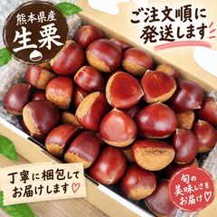 🌰 熊本県産 大粒栗 たっぷり2kg 🌰